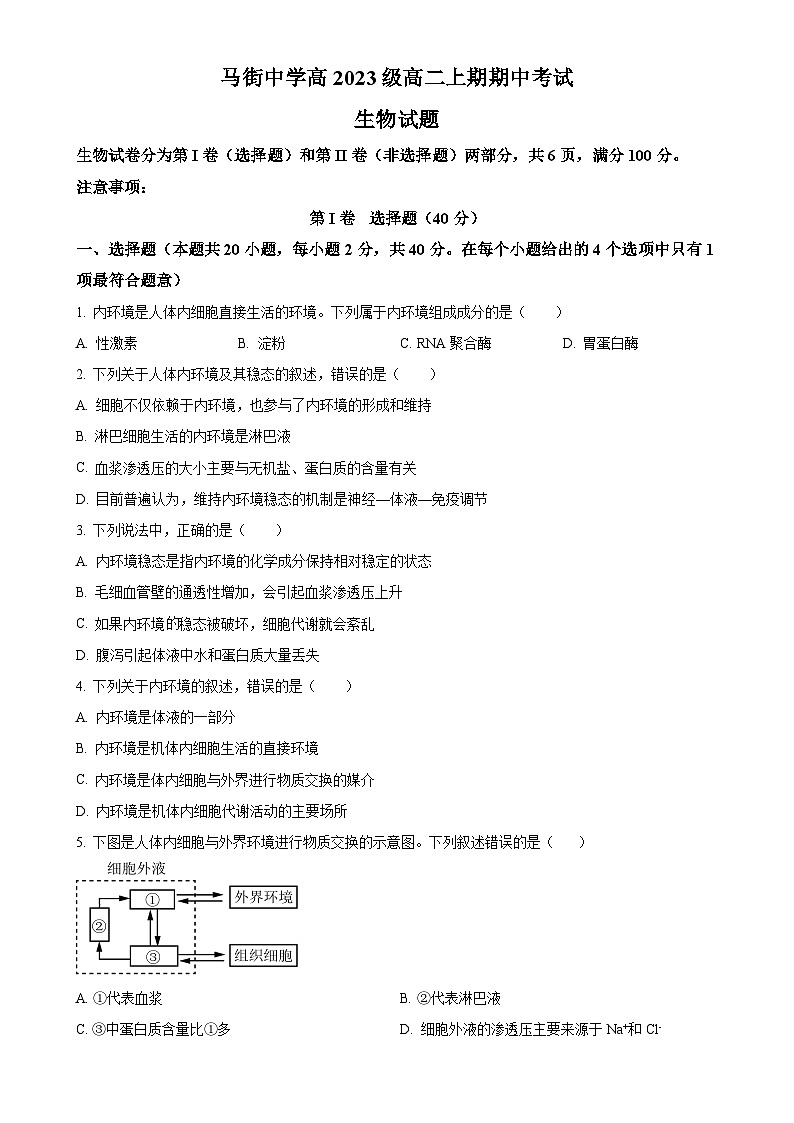 四川省合江县马街中学2024-2025学年高二上学期期中考试生物试题（原卷版）-A4第1页
