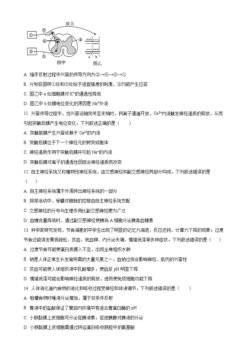 四川省合江县马街中学2024-2025学年高二上学期期中考试生物试题（原卷版）-A4第3页