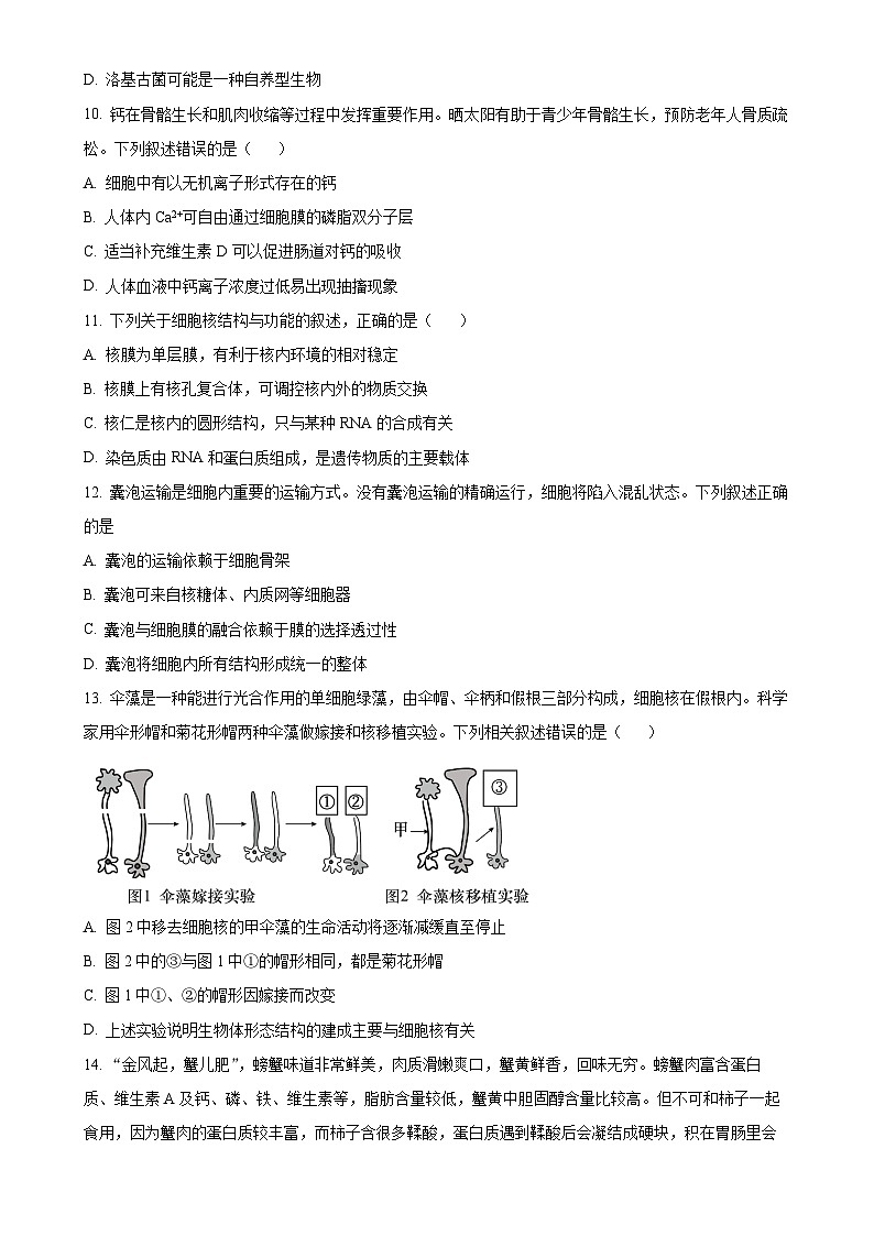 广东省肇庆市肇庆中学2024-2025学年高一上学期期中考试生物试题（原卷版）-A4第3页
