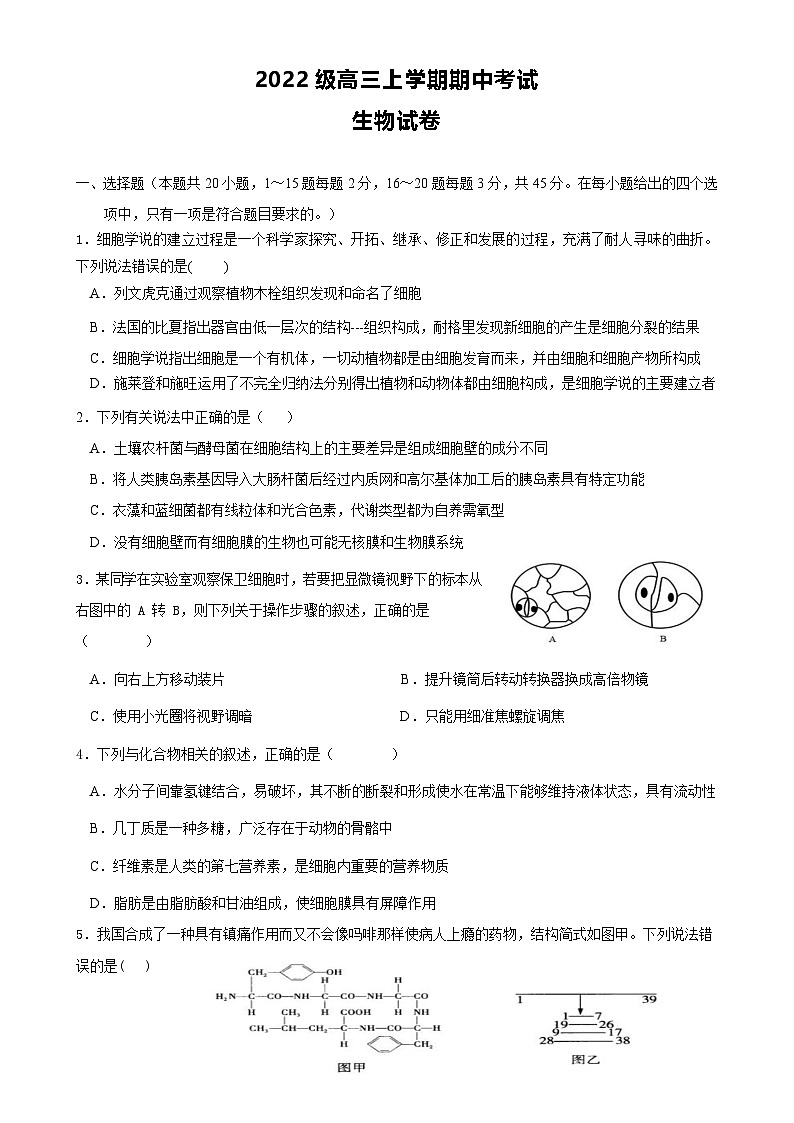 四川省眉山市仁寿县四川省仁寿第一中学校南校区2024-2025学年高三上学期11月期中生物试题-A4第1页