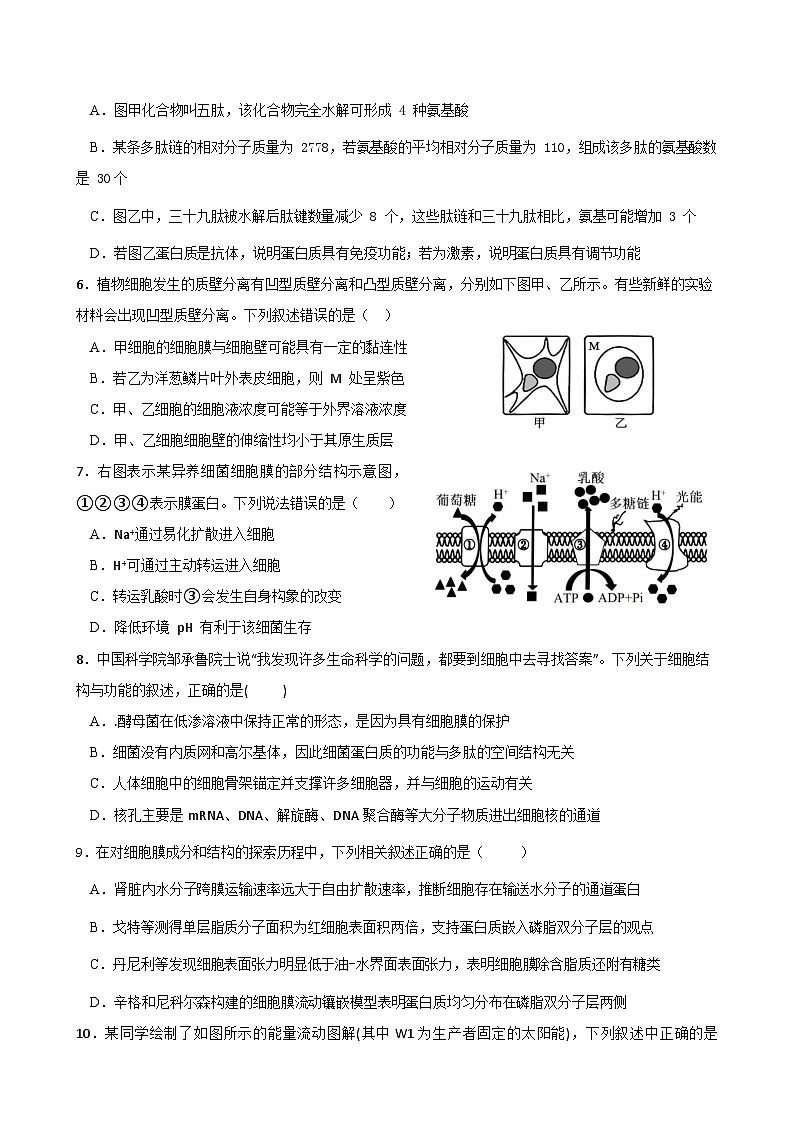 四川省眉山市仁寿县四川省仁寿第一中学校南校区2024-2025学年高三上学期11月期中生物试题-A4第2页