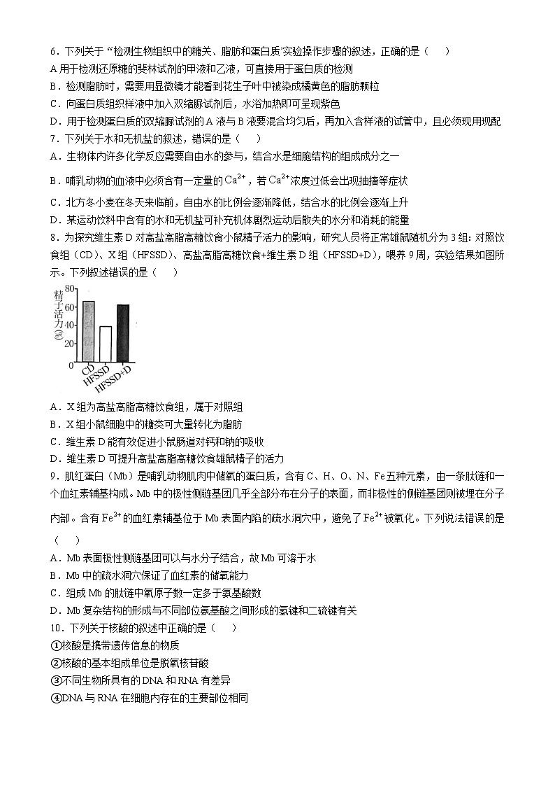 山东省泰安第一中学2024-2025学年高一上学期期中考试生物试题第2页