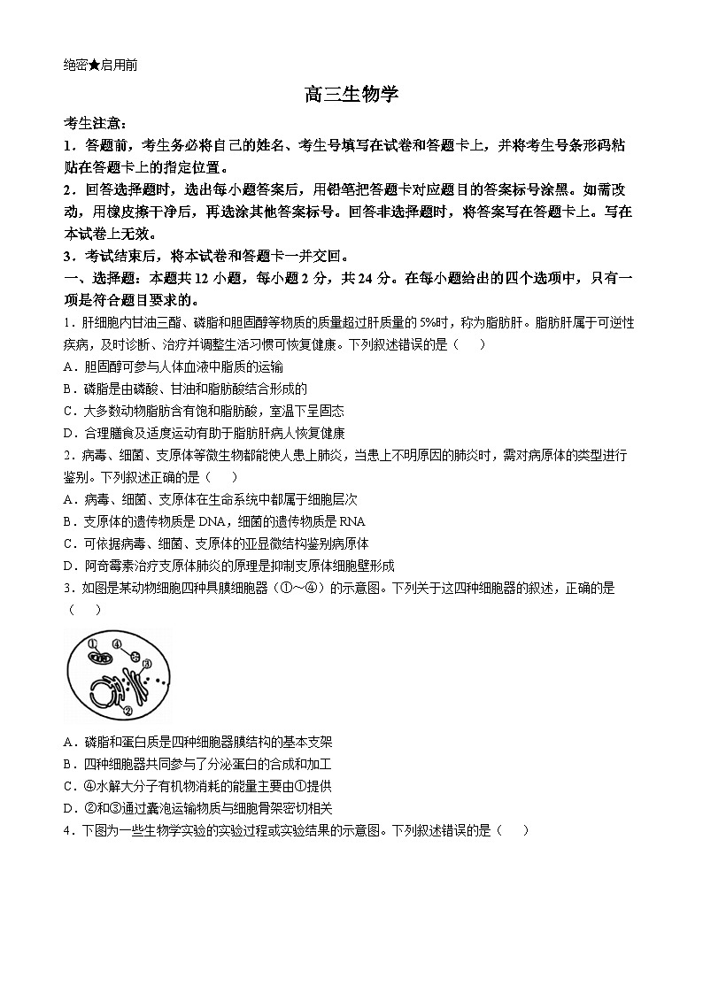 湖南省多校联考2024-2025学年高三上学期11月联考生物试题第1页
