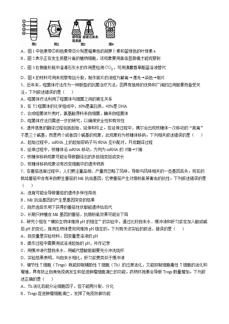 湖南省多校联考2024-2025学年高三上学期11月联考生物试题第2页