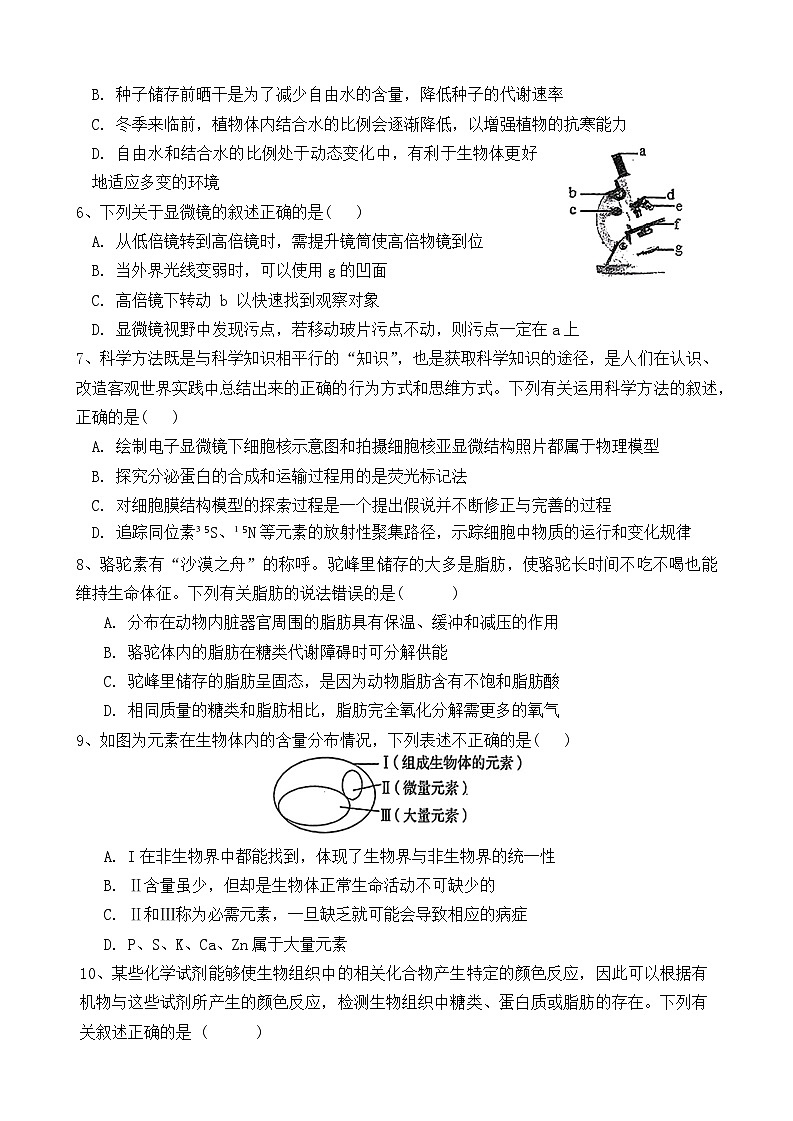 黑龙江省鸡西市2024-2025学年高一上学期11月期中三校联考生物试题第2页