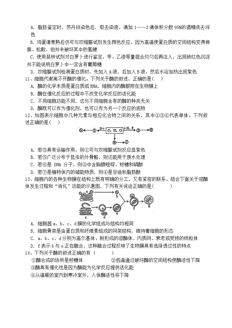 黑龙江省鸡西市2024-2025学年高一上学期11月期中三校联考生物试题第3页