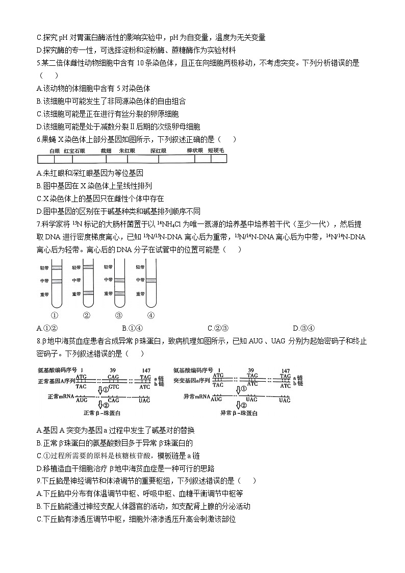 河南省驻马店市2024-2025学年高三上学期期中考试生物试题第2页