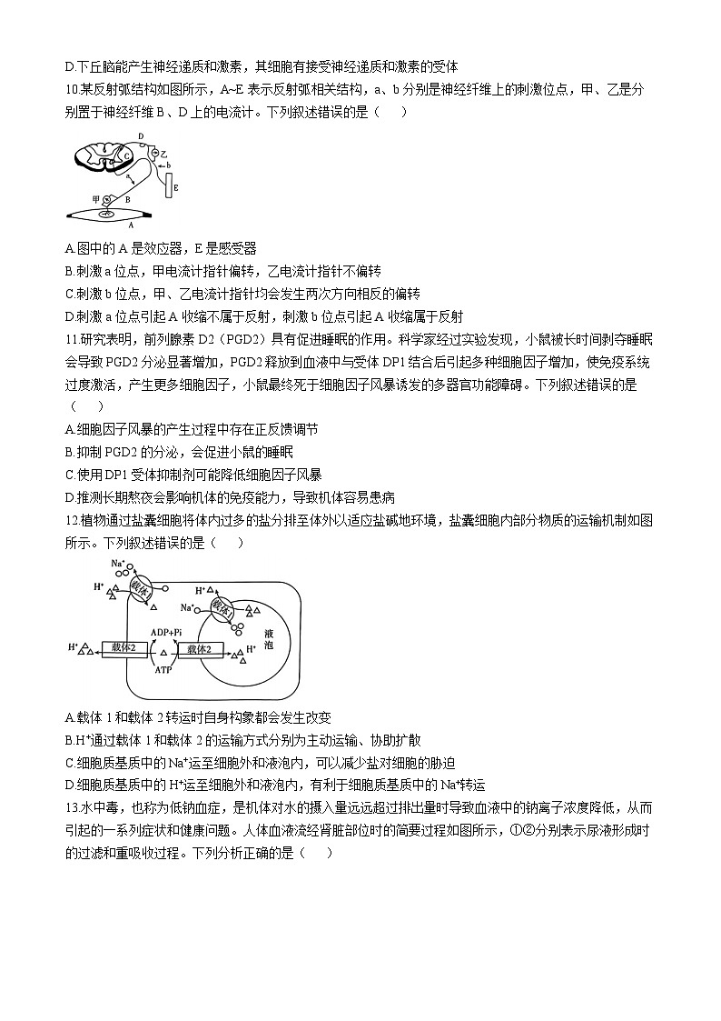 河南省驻马店市2024-2025学年高三上学期期中考试生物试题第3页