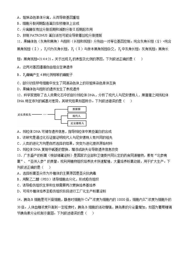 广东省部分学校2024-2025学年高三上学期11月联考生物试题第3页