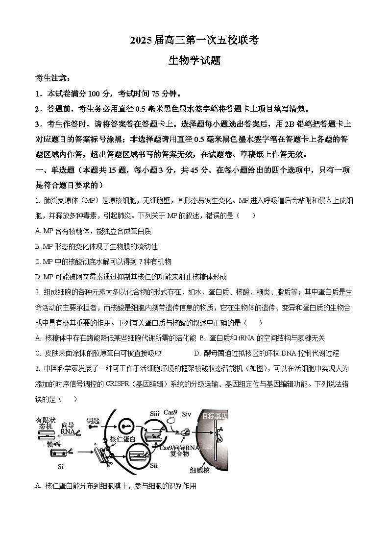 安徽省五校联考2024-2025学年高三上学期11月期中生物试题无答案第1页