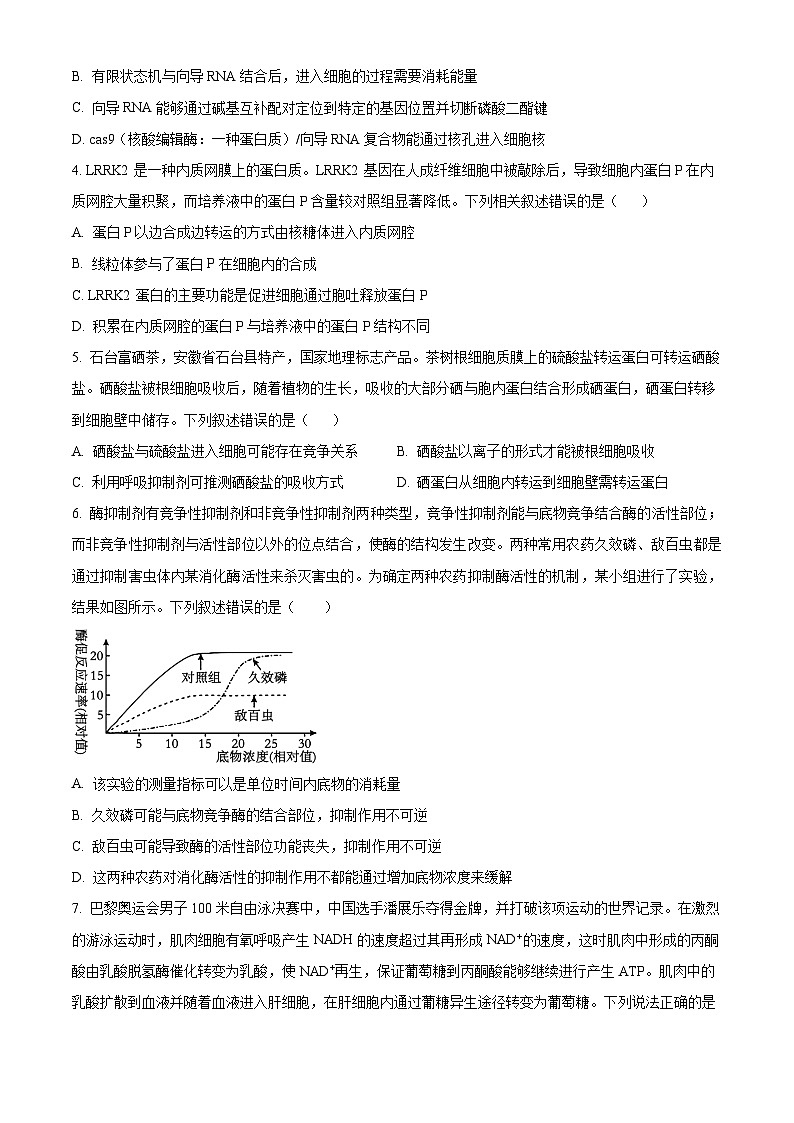 安徽省五校联考2024-2025学年高三上学期11月期中生物试题无答案第2页
