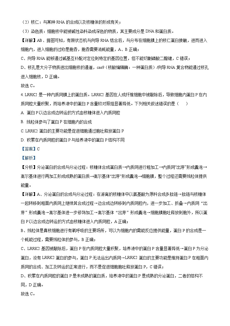 安徽省五校联考2024-2025学年高三上学期11月期中生物试题含解析第3页