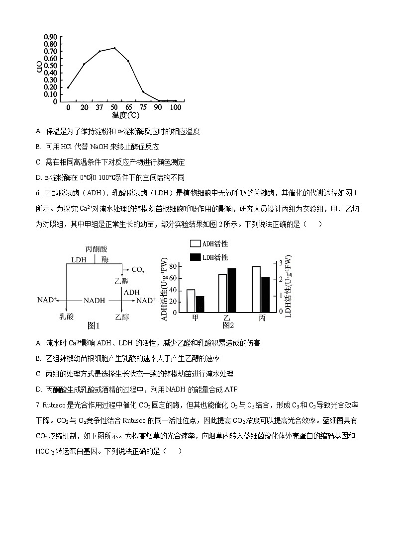 精品解析：山东省泰安市2024-2025学年高三上学期11月期中考试生物试题（原卷版）第3页
