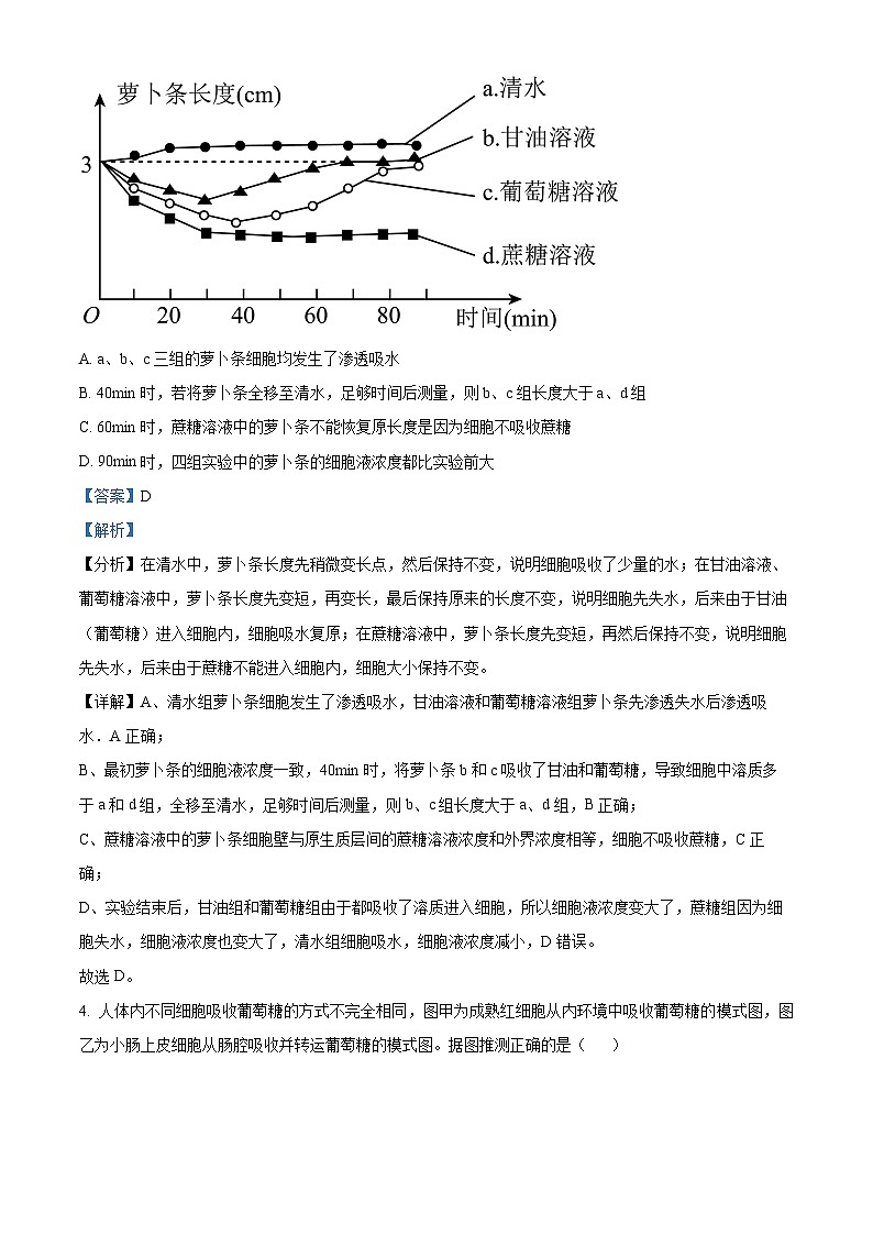 精品解析：山东省泰安市2024-2025学年高三上学期11月期中考试生物试题（解析版）第3页