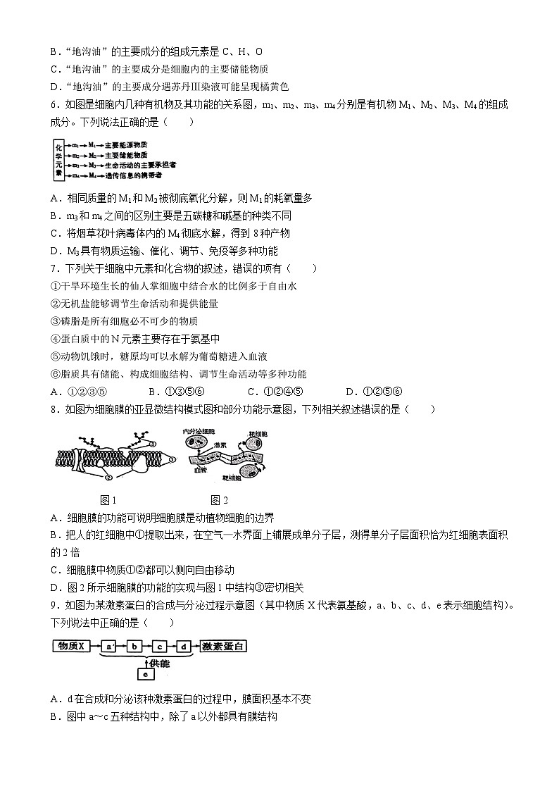 2025丹东七校协作体高一上学期11月期中考试生物无答案第2页