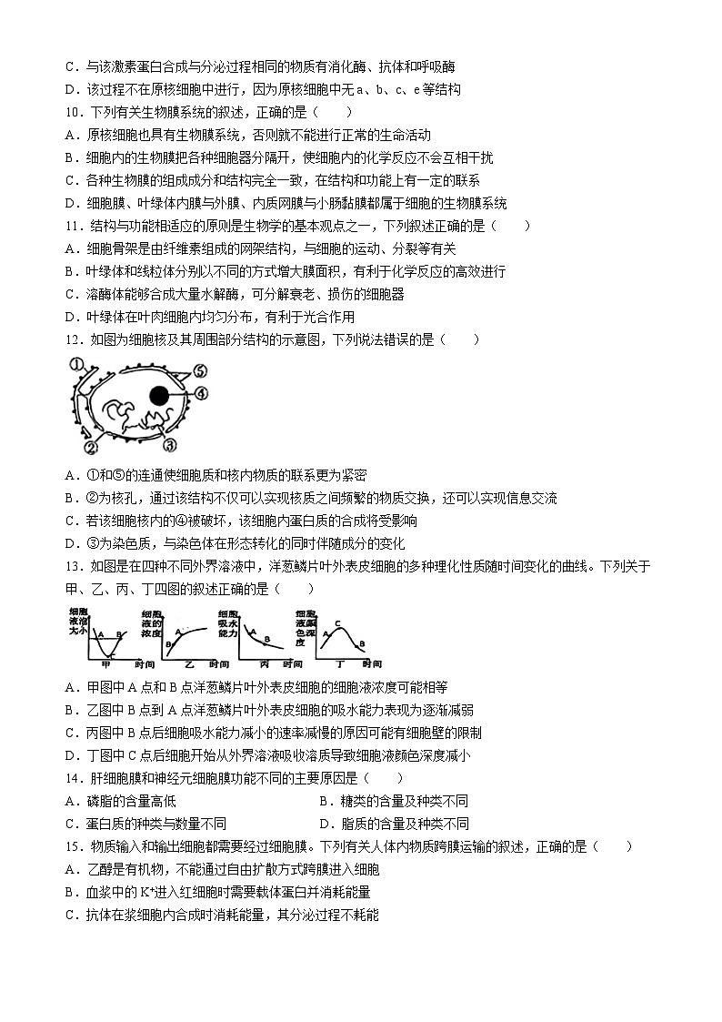 2025丹东七校协作体高一上学期11月期中考试生物无答案第3页