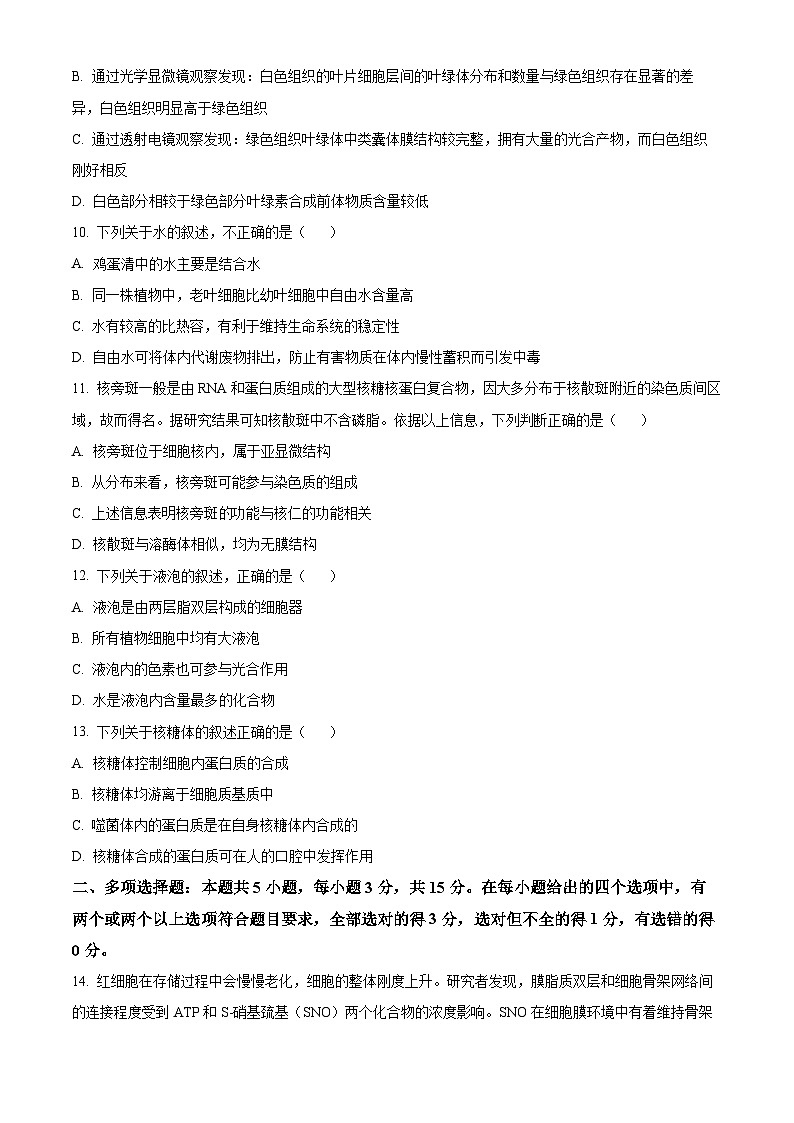 河北省示范性高中2024-2025学年高一上学期11月期中质量检测联合测评生物试题无答案第3页