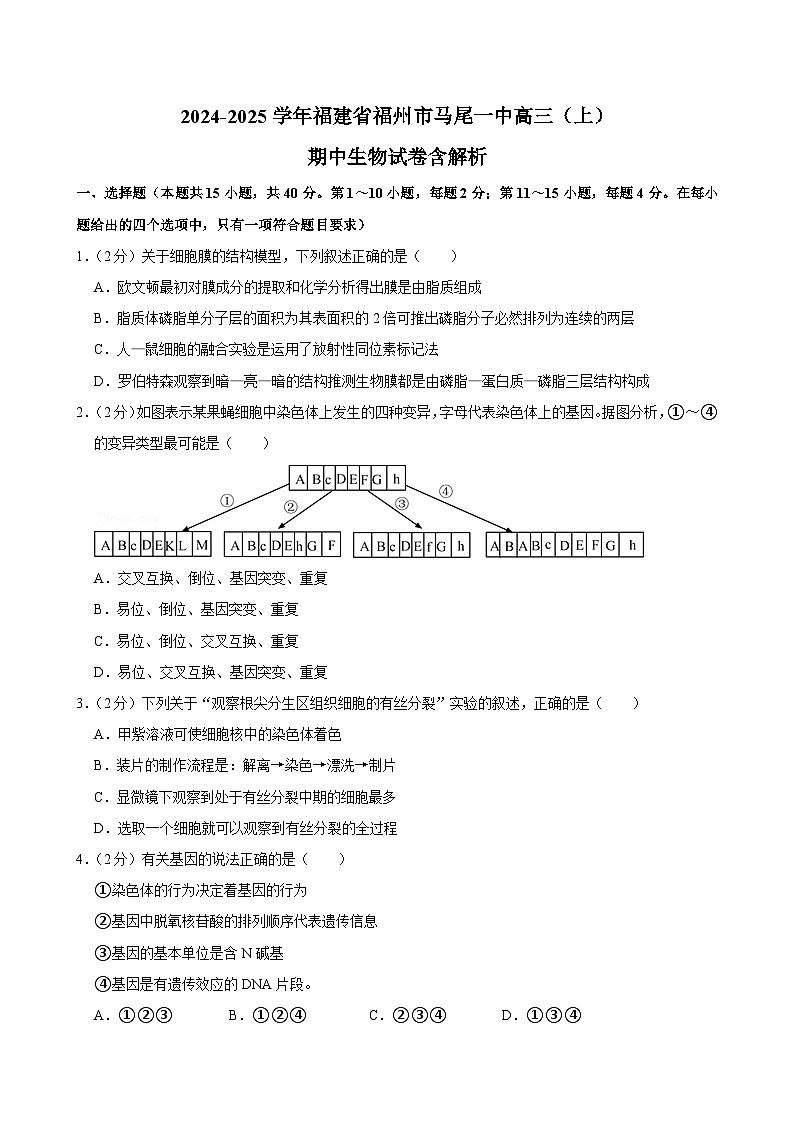 福建省福州市马尾一中2024-2025学年高三上学期期中生物试卷第1页