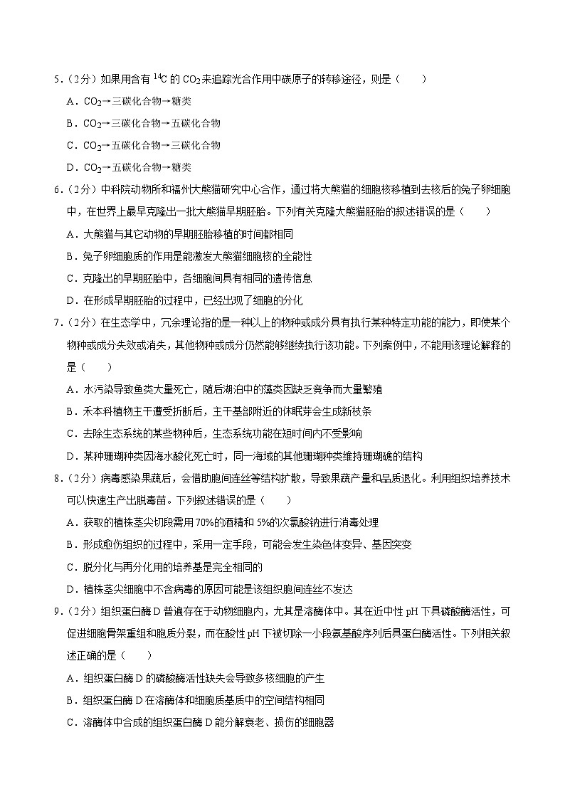 福建省福州市马尾一中2024-2025学年高三上学期期中生物试卷第2页