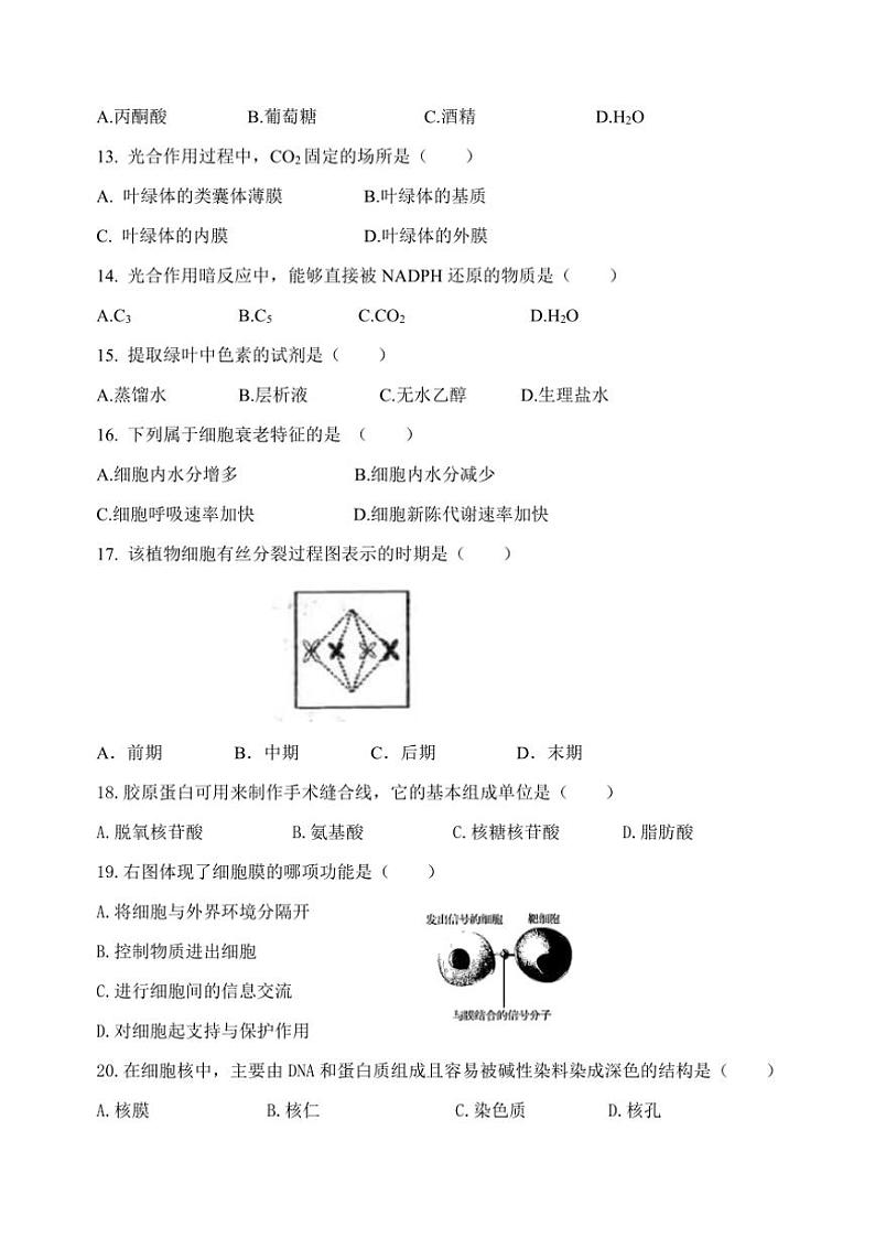 吉林省2024～2025学年高一(上)生物会考模拟试卷(一)(含答案)第2页