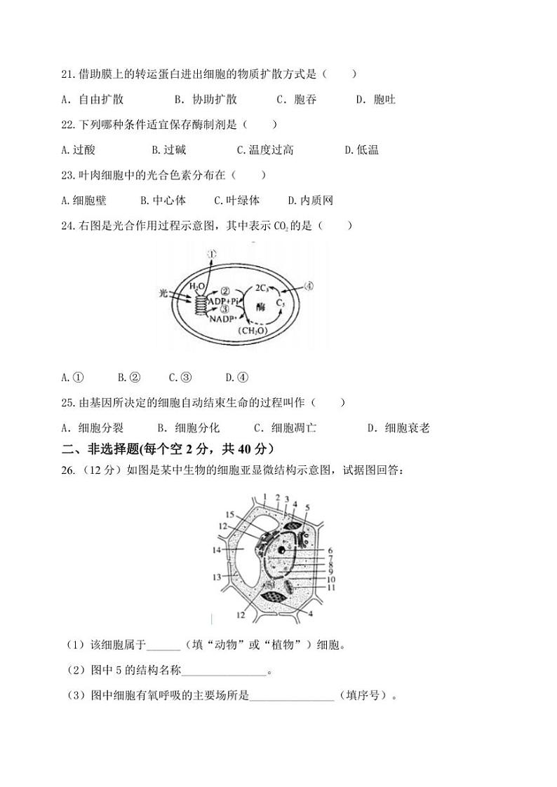 吉林省2024～2025学年高一(上)生物会考模拟试卷(一)(含答案)第3页