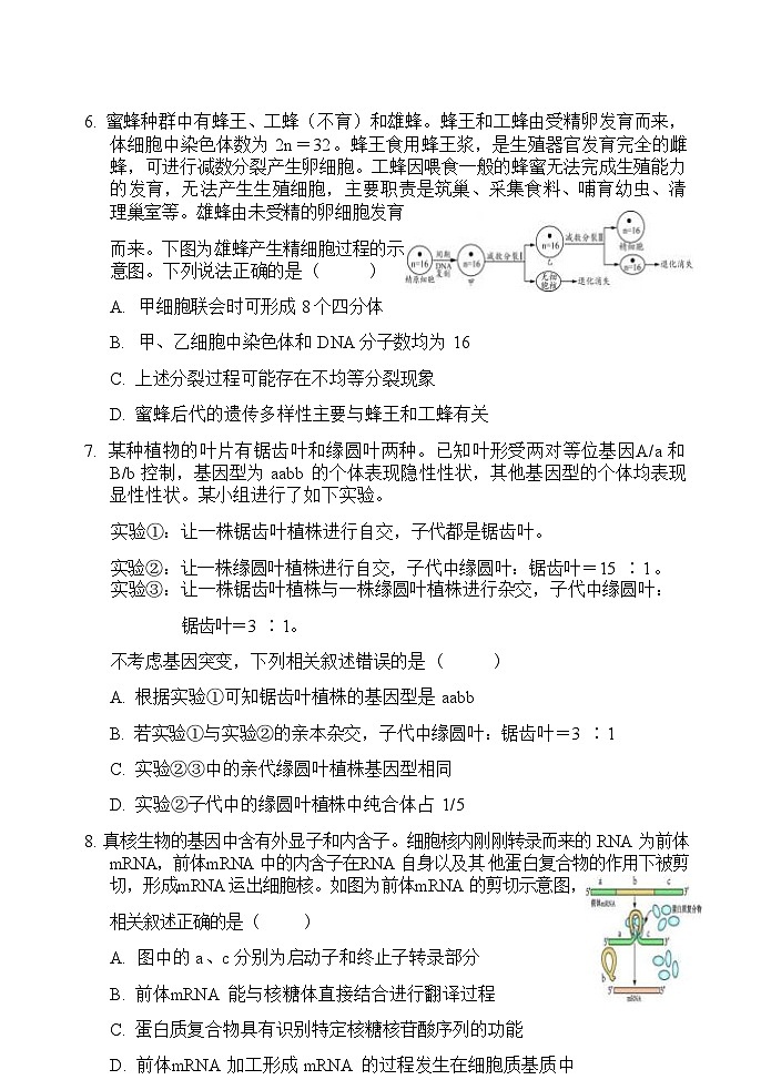 【西北卷】【宁溪卷卷】宁夏吴忠市高三上学期学业水平适应性考试（吴忠一模）（11.21-11.23）生物试卷第3页