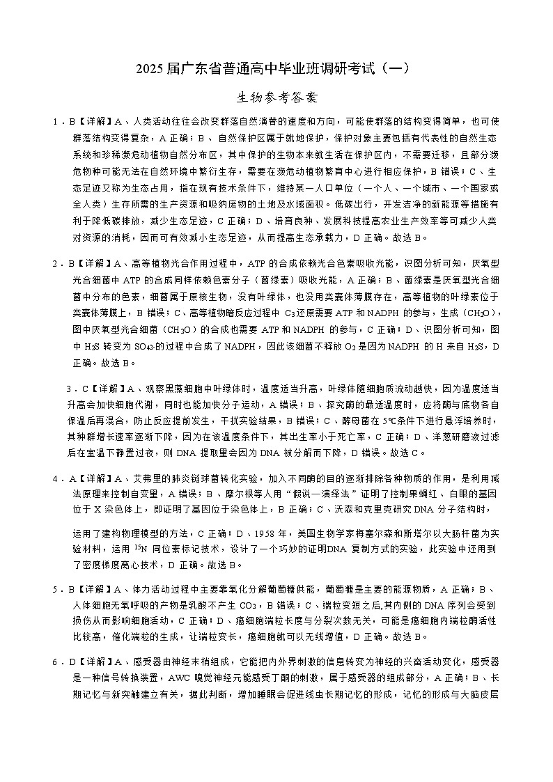 【广东卷】广东省2025届高中毕业班调研考试（高研一调模拟卷）（广东高考研究会）生物试卷答案第1页