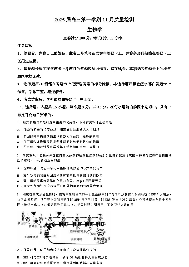 【河南卷】河南省部分示范性重点高中2024-2025学年2025届高三第一（上）学期11月期中质量检测（11.21-11.22）生物试卷+解析第1页