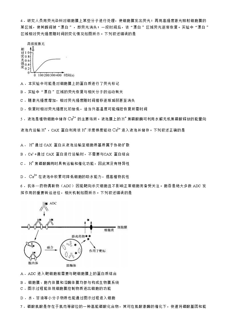 【河南卷】河南省部分示范性重点高中2024-2025学年2025届高三第一（上）学期11月期中质量检测（11.21-11.22）生物试卷+解析第3页