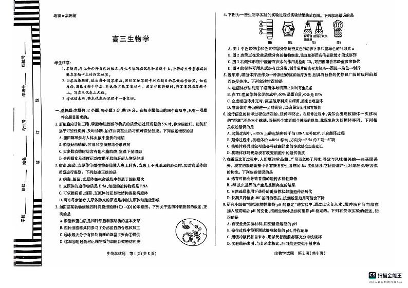 【湖南卷】湖南省天一大联考&湘一名校联盟2024-2025学年高三上学期11月联考（11.28-11.29）生物试卷第1页