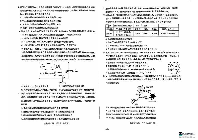 【湖南卷】湖南省天一大联考&湘一名校联盟2024-2025学年高三上学期11月联考（11.28-11.29）生物试卷第2页