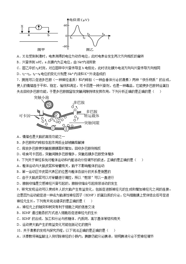 四川省广元市广元市直属学校2024-2025学年高二上学期11月期中生物试题第2页