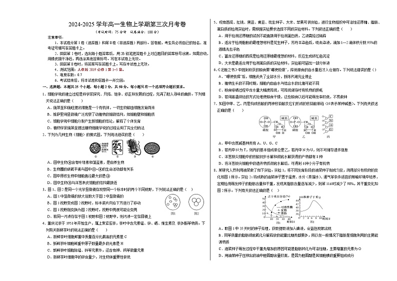 高一生物第三次月考卷【测试范围：人教版2019第1~5章】（考试版A3）第1页