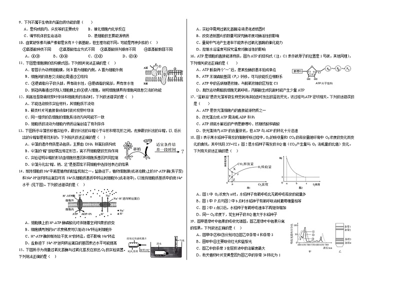 高一生物第三次月考卷【测试范围：人教版2019第1~5章】（考试版A3）第2页
