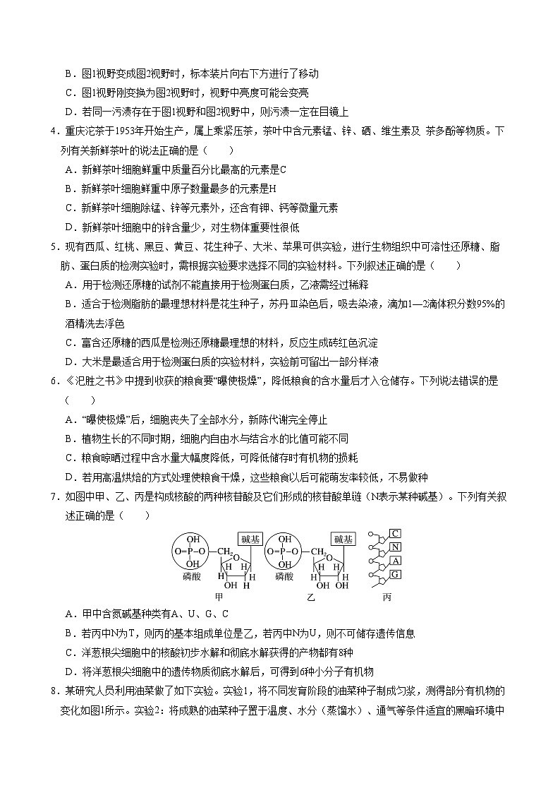 高一生物第三次月考卷【测试范围：人教版2019第1~5章】（考试版A4）第2页