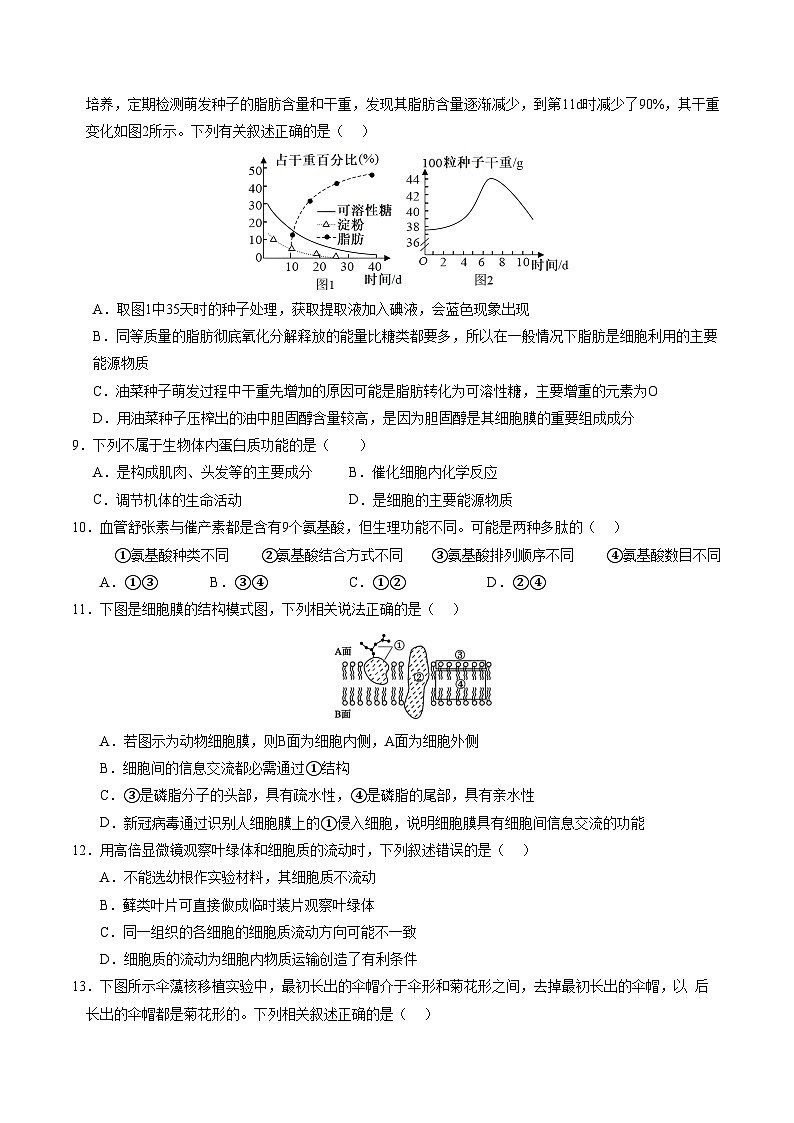 高一生物第三次月考卷【测试范围：人教版2019第1~5章】（考试版A4）第3页