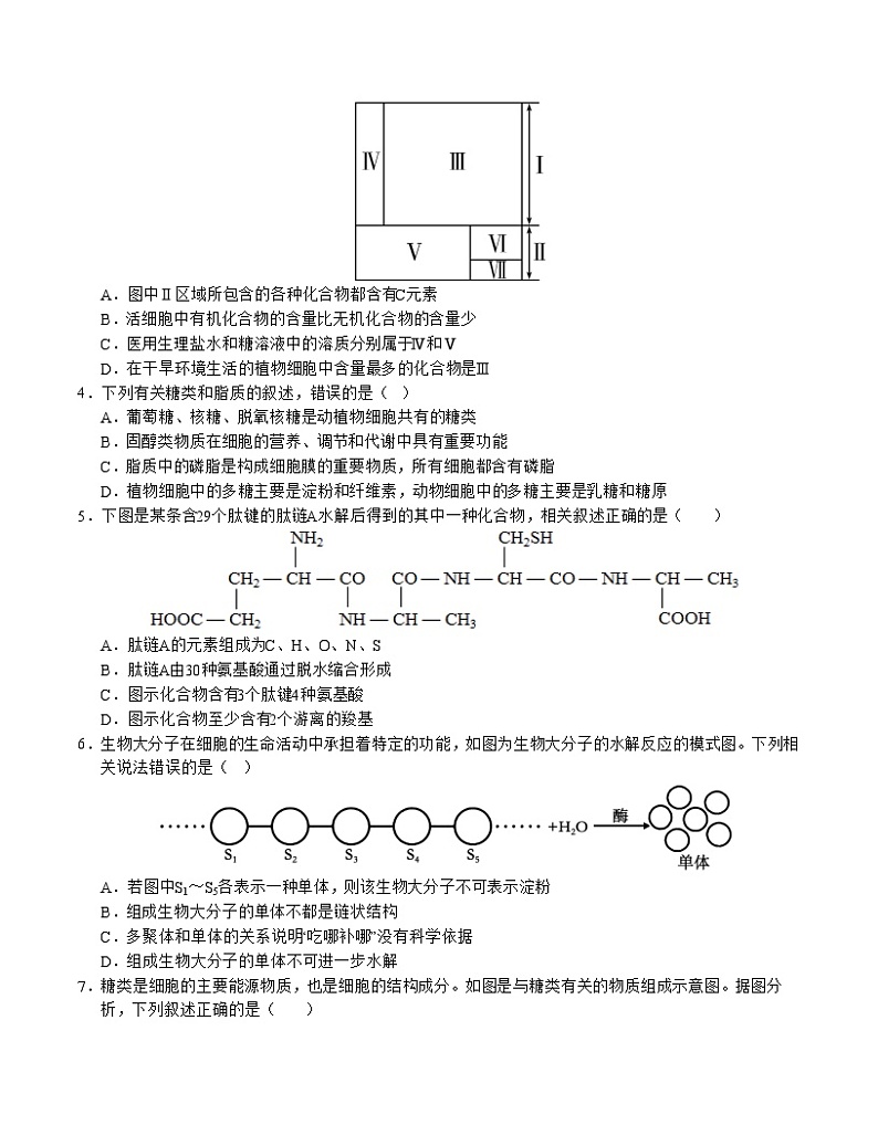 高一生物第三次月考卷01（A4考试版）【测试范围：必修1第1-5章】（新高考通用）第2页