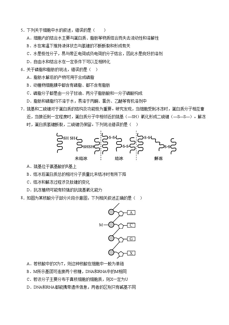 高一生物第三次月考卷02【测试范围：第1~5章】（考试版A4）（人教版2019）第2页