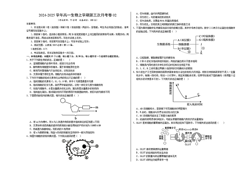 高一生物第三次月考卷02（新高考通用，多选版）2024-2025学年高中上学期第三次月考01