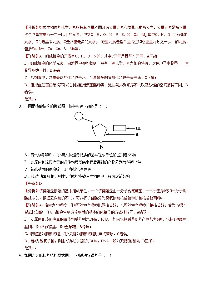 高一生物第三次月考卷02（新高考通用，多选版）2024-2025学年高中上学期第三次月考02