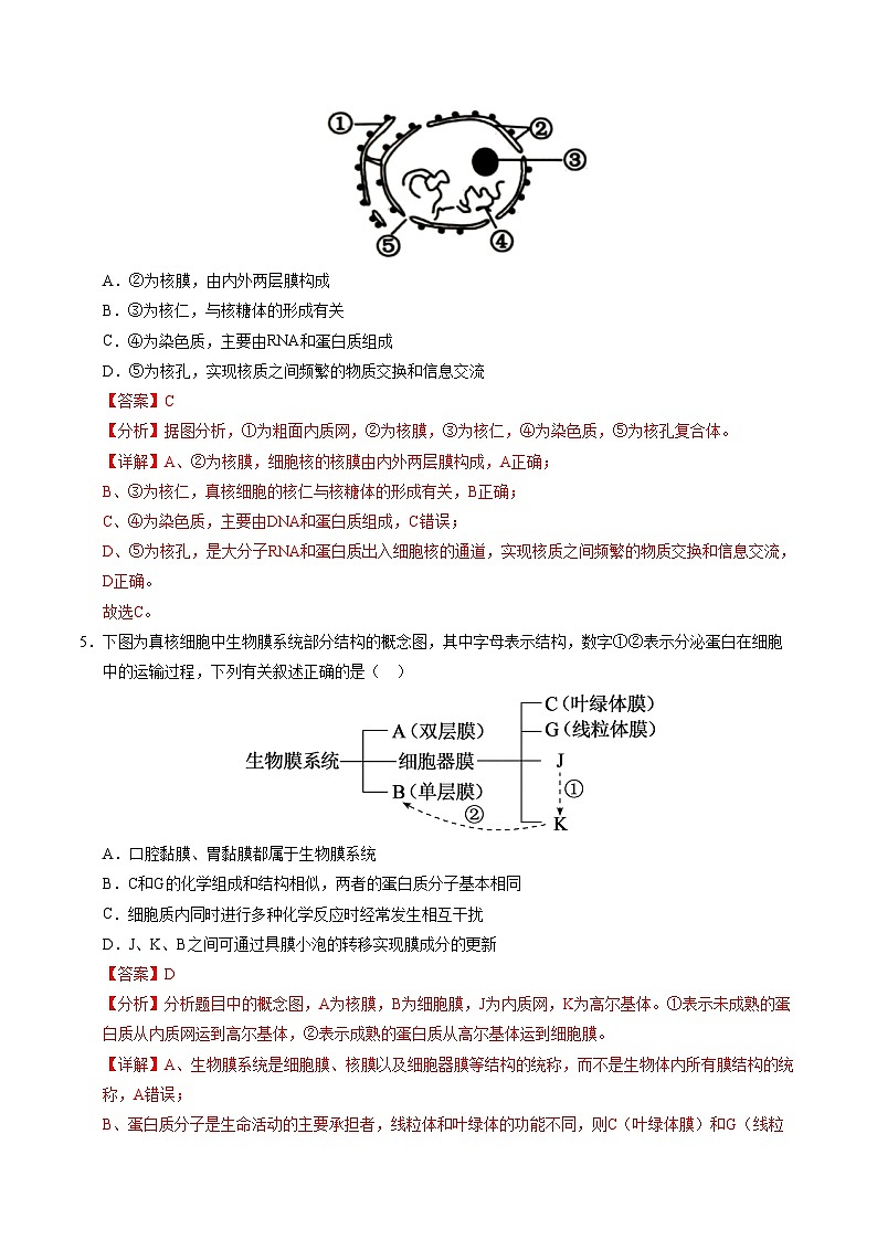高一生物第三次月考卷02（新高考通用，多选版）2024-2025学年高中上学期第三次月考03