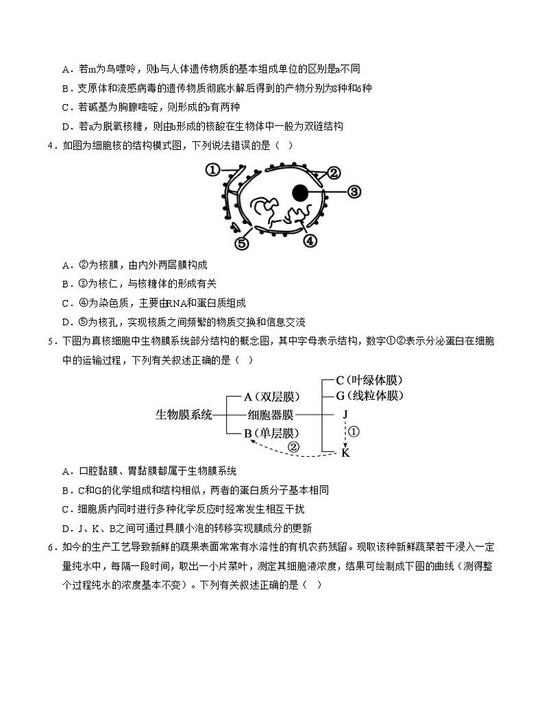高一生物第三次月考卷02（新高考通用，多选版）2024-2025学年高中上学期第三次月考02