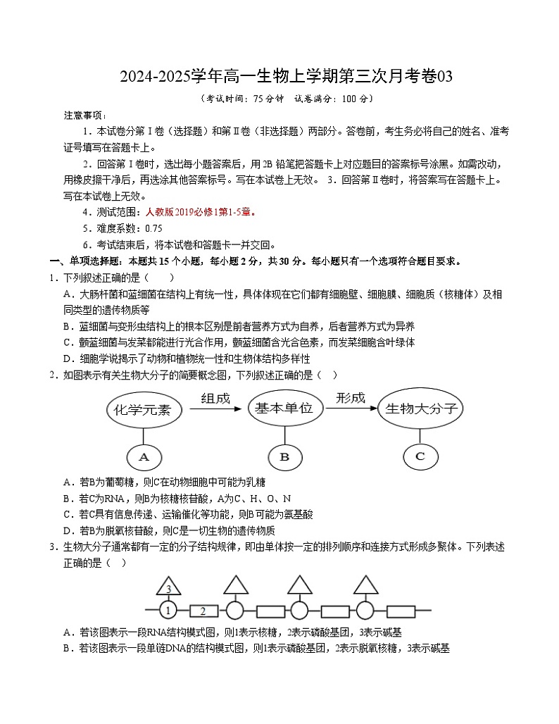 高一生物第三次月考卷03（新高考通用，不定项选择）2024-2025学年高中上学期第三次月考01