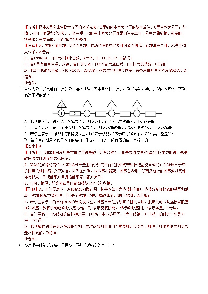 高一生物第三次月考卷03（新高考通用，不定项选择）2024-2025学年高中上学期第三次月考02