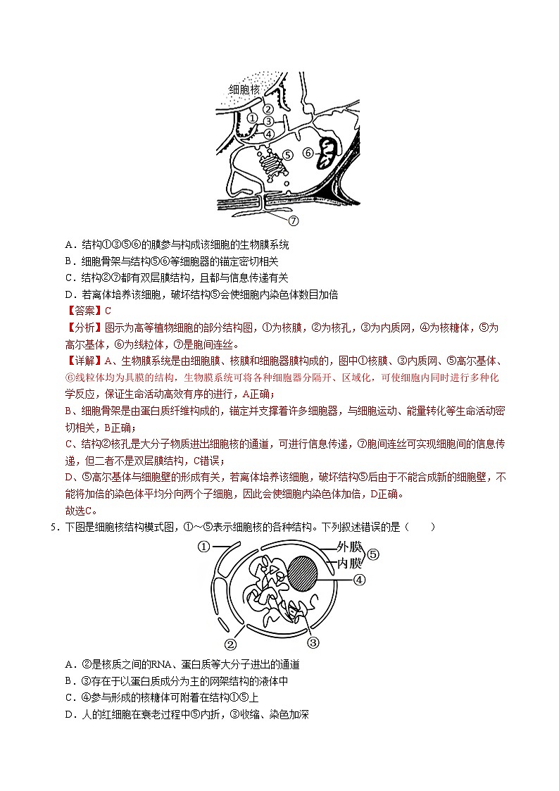 高一生物第三次月考卷03（新高考通用，不定项选择）2024-2025学年高中上学期第三次月考03