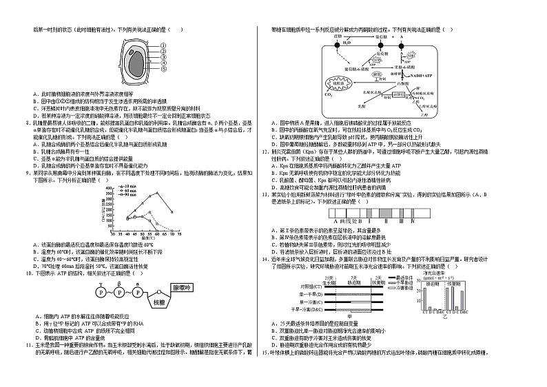 高一生物第三次月考卷03（新高考通用，不定项选择）2024-2025学年高中上学期第三次月考02
