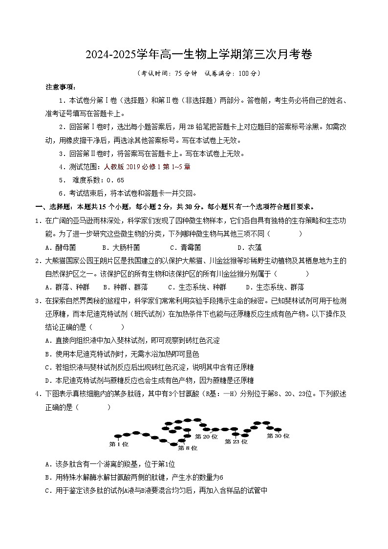 高一生物第三次月考卷【测试范围：人教版2019必修1第1~5章】（考试版A4）第1页