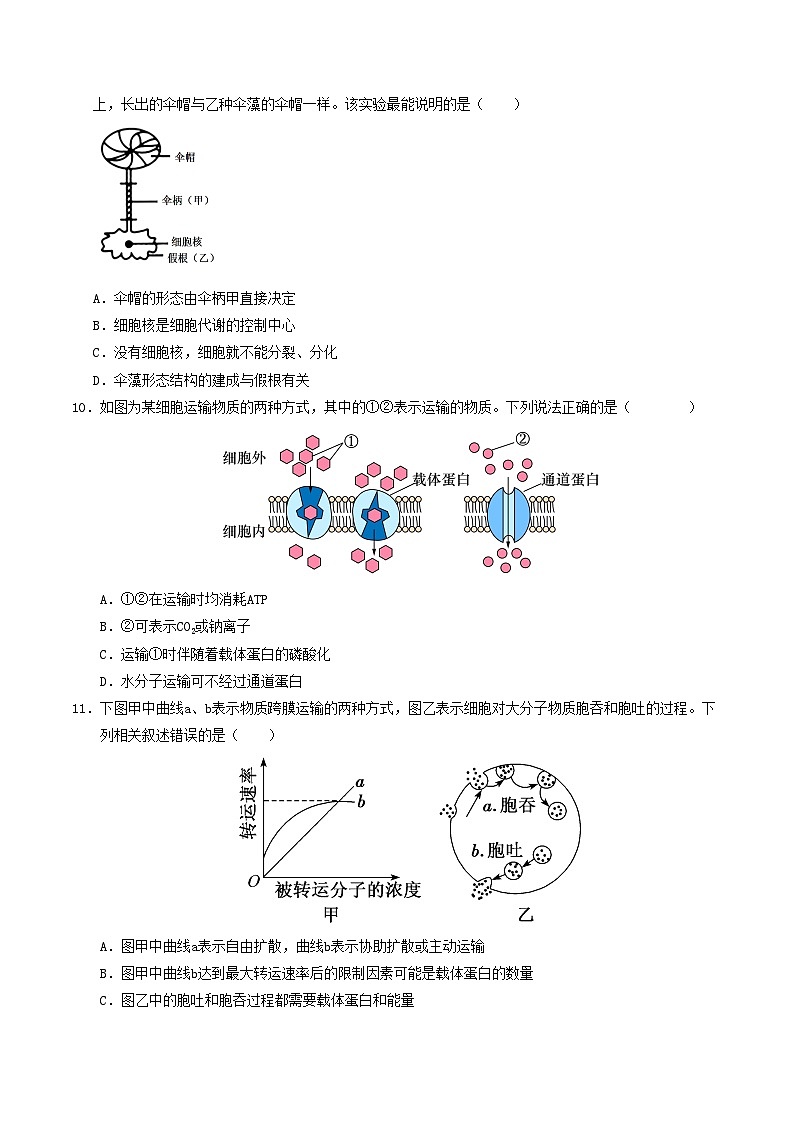 高一生物第三次月考卷【测试范围：人教版2019必修1第1~5章】（考试版A4）第3页