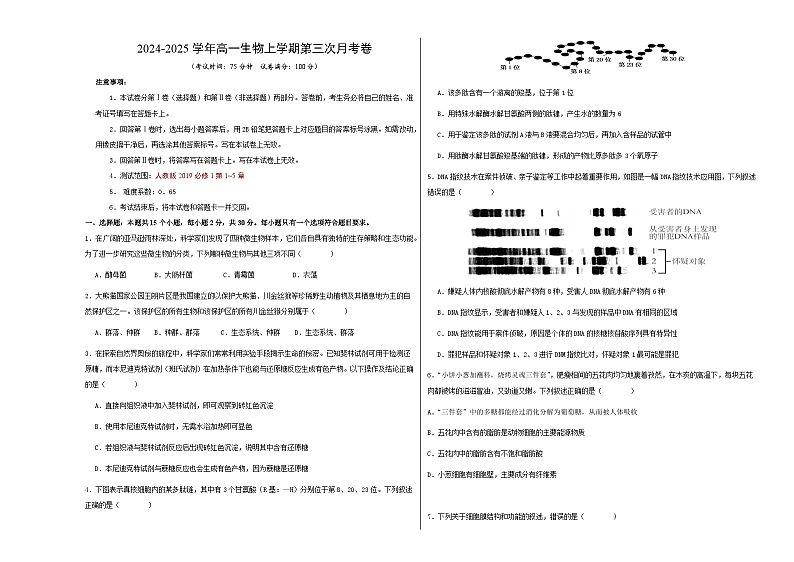 高一生物第三次月考卷【测试范围：人教版2019必修1第1~5章】（考试版A3）第1页