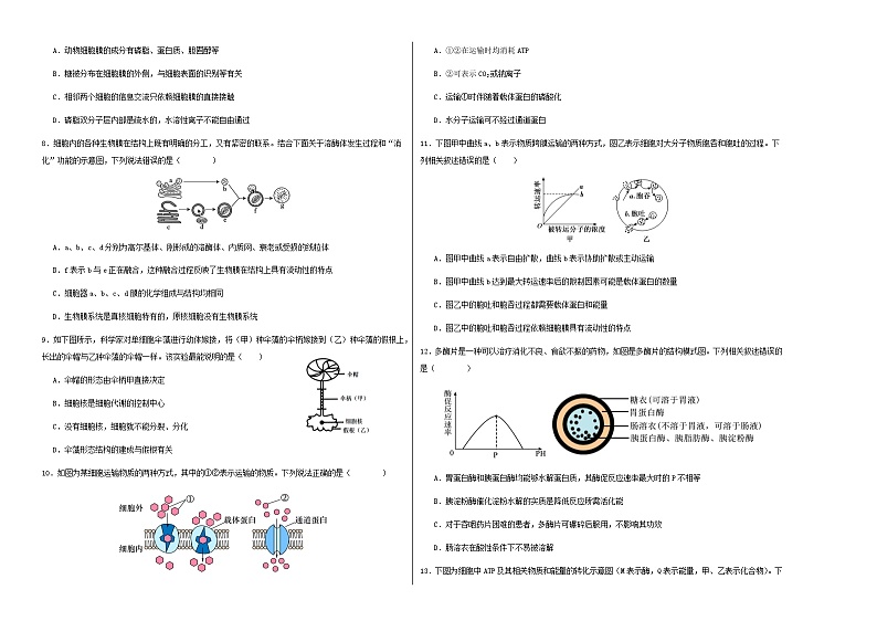 高一生物第三次月考卷【测试范围：人教版2019必修1第1~5章】（考试版A3）第2页